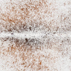 files/3349_b_745263ed-5ca3-4dd6-9c49-840d477ce102.jpg