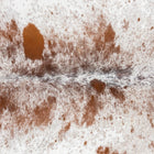 files/3354_b_24b1e0f8-7076-46fb-bbf9-5b00e76c9725.jpg