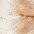 files/3355_b_330dd343-3034-40f2-b64a-db8d7273e137.jpg