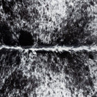 files/3373_b_23ea08e5-45d0-4e68-bf3e-5be428d4b380.jpg
