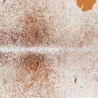 files/3393_b_fcb1a194-1498-4166-8e05-3d6c5069c461.jpg