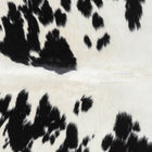 files/3398_b_e7285ee7-f574-4e92-8e57-7b71aa48e156.jpg