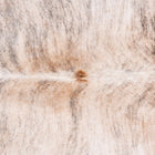 files/3412_b_500d7f50-31c3-4bed-b95a-3de3ead76ca5.jpg