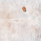 files/3414_b_18a7e18c-b1ee-4654-8fd9-c8cee560e2b4.jpg