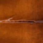 files/3437_b_33fd5dfb-a10e-41b4-88b3-7a66f7a1a67e.jpg