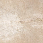 files/3468_b_1e39006c-2eac-4317-9045-b6ab572886e7.jpg