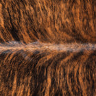 files/3485_b_07d6542e-44be-4a0b-8ce0-d8737c5cca6e.jpg