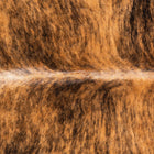 files/3498_b_6e5d093c-2579-49a6-937d-88e2a280ea86.jpg