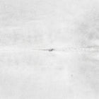 files/3502_b_b3932451-bb53-44a6-9694-9bb56c5f53a3.jpg
