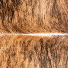 files/3514_b_e14149e4-bf7c-4c77-8333-199f6a60e4c3.jpg