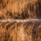 files/3519_b_b67e3b86-8f56-46d4-9e36-29a2e9474026.jpg