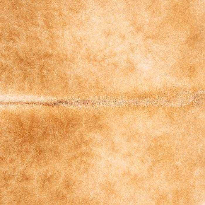 Brazilian Beige Cowhide Rug Size 6'7" L x 5'4" W 3526