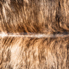 files/3528_b_79117f71-496c-4bb9-996d-b5766a2c23ee.jpg