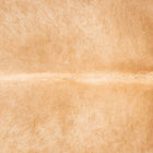 files/3530_b_5cc71a07-961c-4464-9aed-5117213a35a9.jpg