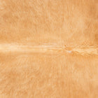 files/3535_b_796c6cab-0890-4bcd-a2d2-0bccfb6cc04e.jpg