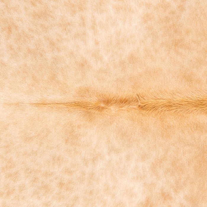 Brazilian Beige Cowhide Rug Size 6'7" L x 5'10" W 3542