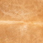 files/3544_b_f4d3d869-8c57-487b-a281-a6c2906fd383.jpg