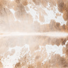 files/3619_b_4a0debbb-fc33-4531-b8aa-da5b763cf9dd.jpg