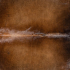 files/3628_b_b2bd2a9b-20a8-4c0d-ba37-ab3b390d89cd.jpg