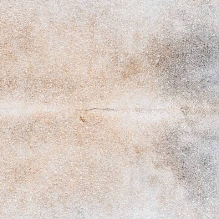 Brazilian Grey Palomino Cowhide Rug Size 8'7" L x 7'11" W 3636