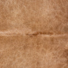 files/3638_b_64a474d9-c482-470f-bcc2-a076d47c6ee5.jpg