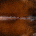 files/3645_b_488366dc-6082-4ae9-896c-899fb5ce0300.jpg