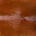files/3652_b_02adf74b-3033-4041-bfc1-032eb757b7d6.jpg