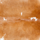 files/3655_b_4b754f55-fc09-4a48-8a77-99a6b80e4918.jpg