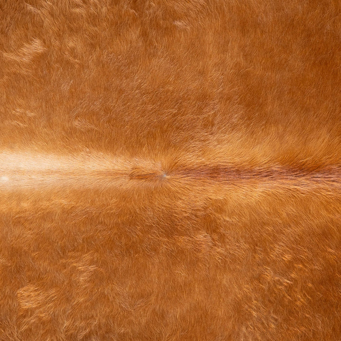 Brazilian Brown Cowhide Rug Size 7'7" L x 6'7" W 3660