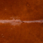 files/3661_b_d748dc28-1723-4192-98da-fdb26da9fc0d.jpg