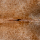 files/3664_b_1bcfae32-7515-4f47-adb5-799ce44a5a4b.jpg