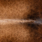 files/3666_b_4bc91c53-b0b7-409e-a25e-b20d3706fa29.jpg