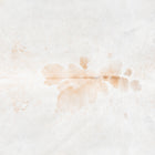 files/3671_b_53d735d2-f6a9-414b-a7f8-01038c61fd4a.jpg