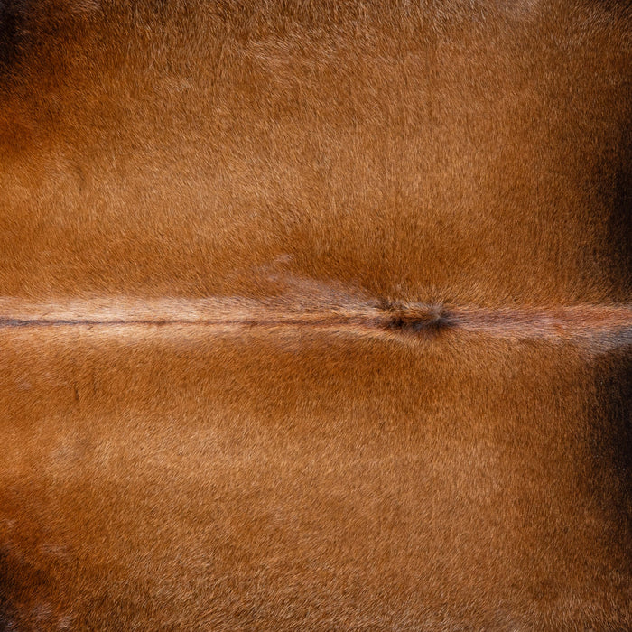 Brazilian Mahogany Cowhide Rug Size 8'0" L x 7'2" W 3689