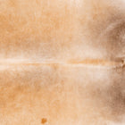 files/3691_b_f6a5af9b-4091-476d-ae97-f0422f721776.jpg