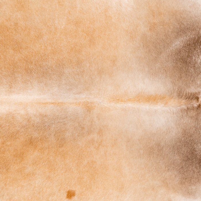 Brazilian Beige Cowhide Rug Size 7'5" L x 7'4" W 3691
