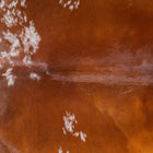 files/3708_b_9c585a3b-bd2d-40d0-9ca1-29248b000c9b.jpg