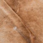files/3756_c_7abf97f3-c070-4ef2-a28b-c89eeec9d8ee.jpg