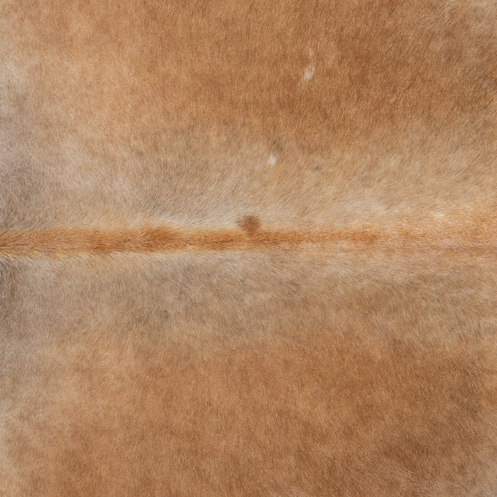 Brazilian Grey Palomino Cowhide Rug Size 8'9" L x 7'6" W 3762