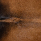 files/3767_b_2379e6cf-7229-4b78-bc71-1bc93aefb957.jpg