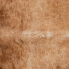 files/3771_b_147fa45d-83cc-413b-8c97-7e4bad43f8f1.jpg