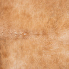 files/3798_b_0e37ed60-f51b-4687-846c-3c832f4c1d73.jpg