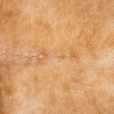Brazilian Brown Cowhide Rug Size 8'8" L x 8'1" W 3798