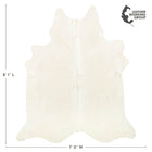 files/6058Size.jpg