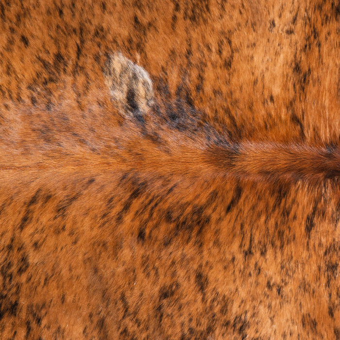 Brindle White Belly Cowhide Rug Size 7'0" L x 6'3" W 6512