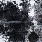 files/6791_b_e3a3890a-4f33-4e7c-b231-028bfcb3fb9b.jpg