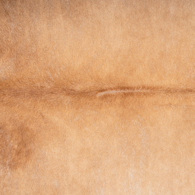 Brazilian Beige Cowhide Rug Size 7'9" L x 6'6" W 7036