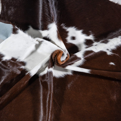 Brazilian Chocolate and White Cowhide Rug Size 7'2" L x 6'0" W 7092