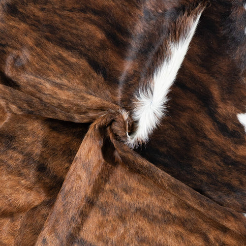 Brazilian Brindle White Belly and Backbone Cowhide Rug Size 8'0" L x 6'7" W 7103