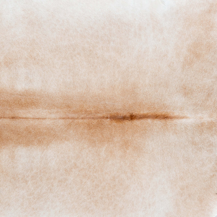 Brazilian Palomino and White Cowhide Rug Size 7'0" L x 6'8" W 7127